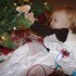 Capturing Holiday Moments
